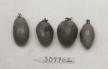 Click for 1 image(s) for this accession. FRUIT